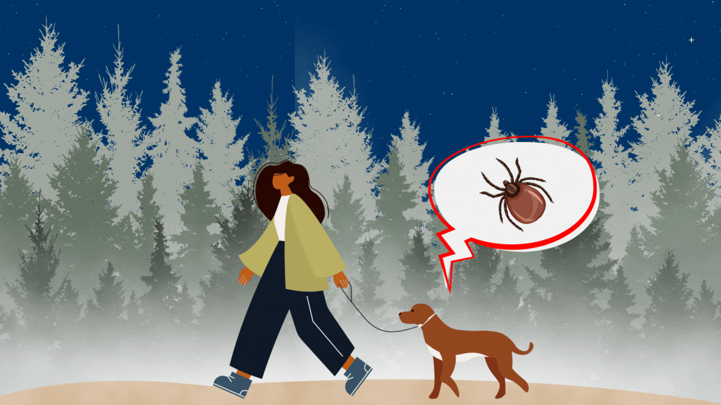 Breakthrough introduction innovation pet parasiticides Boehringer